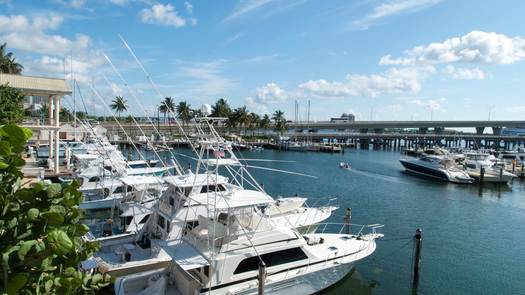 an image of a marina showcasing different boat types