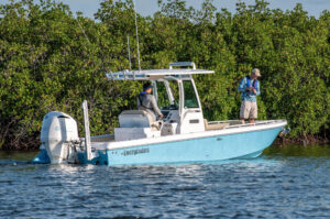 everglades model 253cc