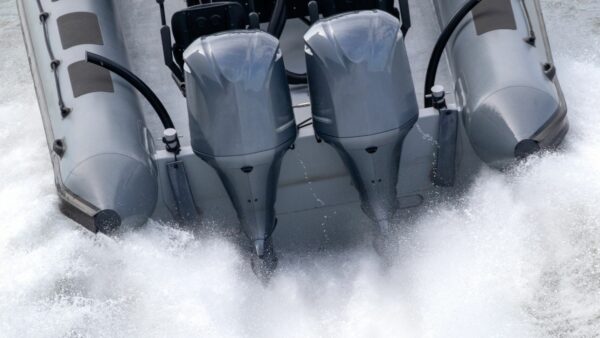 dual boat engine - maintenance
